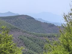 -红崖峡谷景区