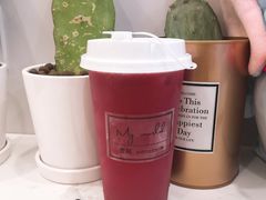 霸气杨梅-麦窝烘焙(永定区店)