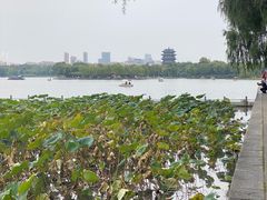 -济南大明湖景区