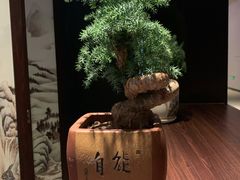 -深圳隐秀山居酒店