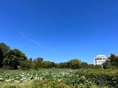 -紫藤园·天目湖大鱼头(南山竹海店)