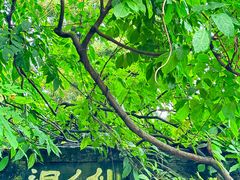 -龙老五汤店(站前西路店)