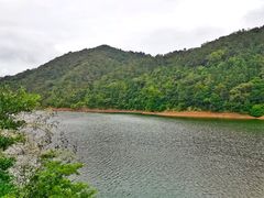 -广州市石门国家森林公园
