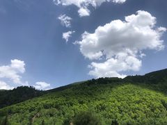 -一盏明灯全素斋(殊像寺店)