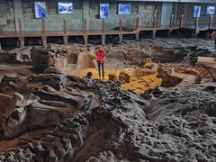 -自贡恐龙博物馆