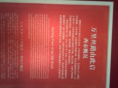 iphone_upload_pic-西安大唐西市博物馆