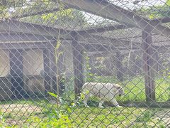 -合肥野生动物园