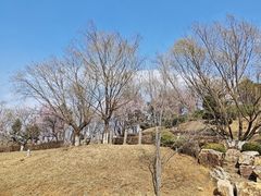 -莫子山公园