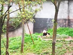 -碧峰峡风景区