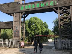 -溱湖国家湿地公园