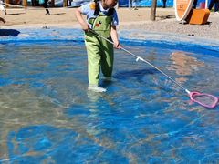 -华英星辰幼儿园(二马路分园)