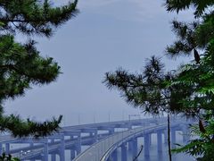 -星海湾跨海大桥
