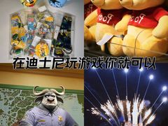 -上海迪士尼度假区