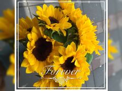 -静岸花卉园艺(三星坊店)