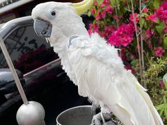 -卤儿道道(经纬店)