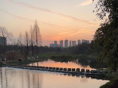-洋湖国家湿地公园