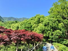 -北仑森林植物园