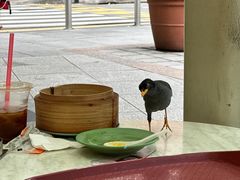 -亚坤(远东广场店)