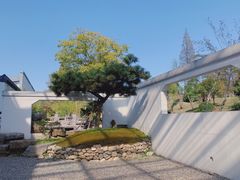 -东方艺术博物馆