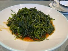 捞拌海藻沙拉-小船渔村·大连菜(新华街店)