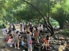 -成都市活水公园