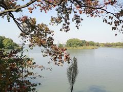 -长广溪湿地公园