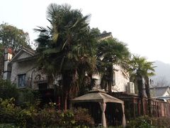 -野蔓果·山野菜(西湖景区·龙井茶田店)