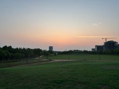 -春花秋色城市公园