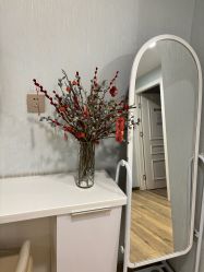 -YESIDO椰岛美容