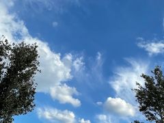 -草原天路(张北县)