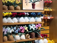 -深圳湾万象城(南山店)