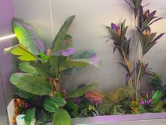 -盒子电竞(大明湖店)