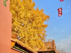 -故宫博物院(故宫)