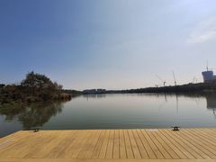 -华侨城湿地公园