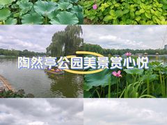 -陶然亭公园