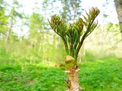 -庆岭迎宾园正宗活鱼馆