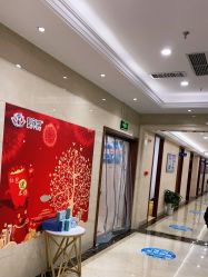 -碧莲盛·不剃发植发