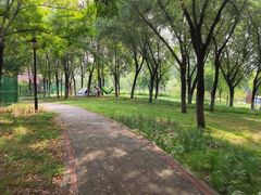 -永定河休闲森林公园