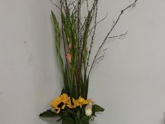 -循礼门鲜花花市(武汉循礼门店)