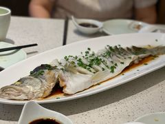 -船歌·鱼水饺青岛菜(金狮广场店)