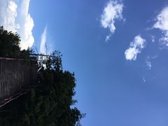 iphone_upload_pic-秦岭天竺山景区