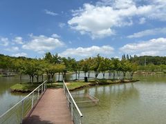 -佛手湖郊野公园