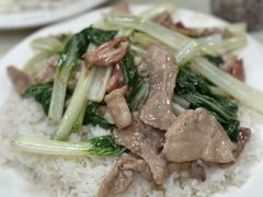 肉片鲜鱿青菜饭-好好滋味茶餐厅