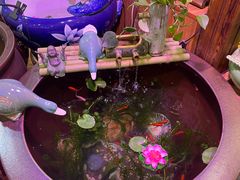 -金三角花鸟鱼综合市场-地面停车场