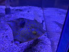 -太平洋海底世界