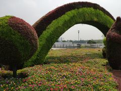 -映月湖中央公园