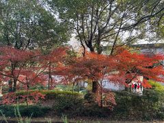 -潜口民宅博物馆