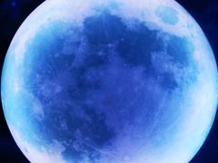 -天津梵高星空艺术馆(天河城旗舰店)