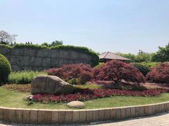 -嘉定紫藤园