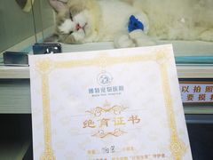 -博特宠物医院24h犬猫全科.骨科·异宠